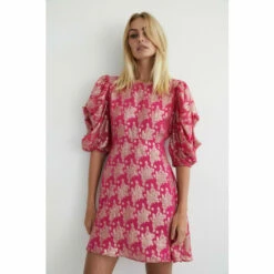 Warehouse Sparkle Ruched Sleeve Mini Dress For Female -Warehouse Sales Store unnamed file 2045