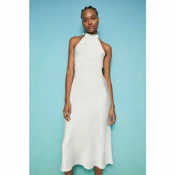 Warehouse Petite Satin Halter Neck Backless Slip Dress For Female -Warehouse Sales Store unnamed file 226