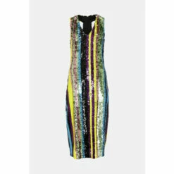 Warehouse Petite Sequin Stripe Cut Out Back Midi Dress For Female -Warehouse Sales Store unnamed file 2804