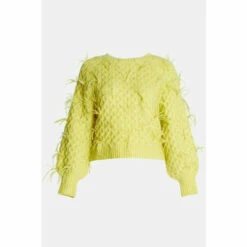 Warehouse Feather Detail Knit Jumper For Female -Warehouse Sales Store unnamed file 3867