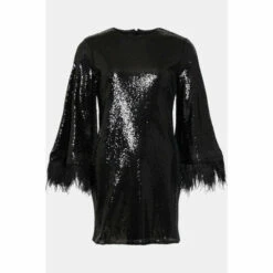 Warehouse Feather Sequin Mini Dress For Female -Warehouse Sales Store unnamed file 4252